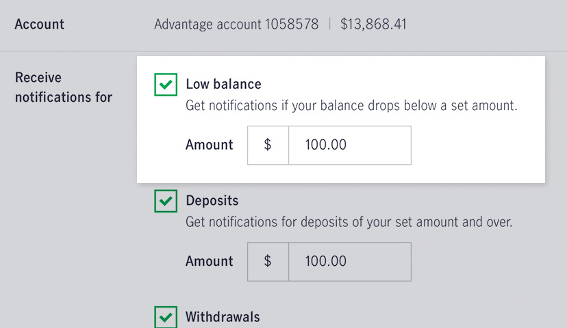 Screenshot of the notification preferences page showing the fields where a customer may set threshold amounts that will trigger account alerts.